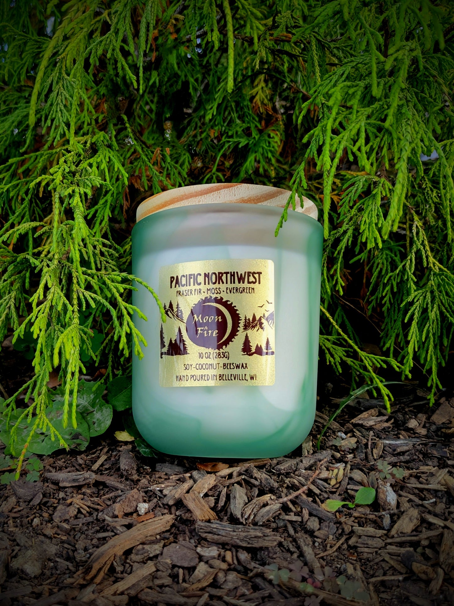 Fraser Fir Wooden X Wick Candle
